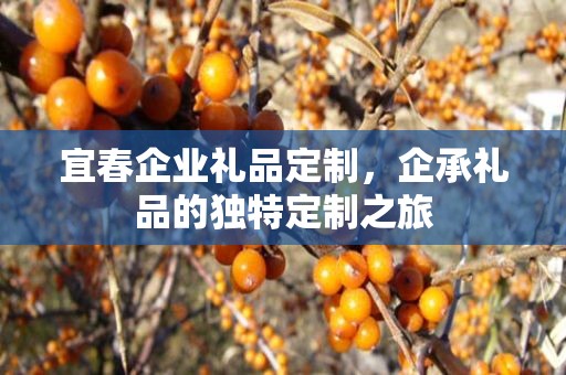 宜春企业礼品定制，企承礼品的独特定制之旅