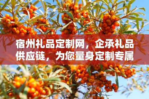宿州礼品定制网，企承礼品供应链，为您量身定制专属礼品